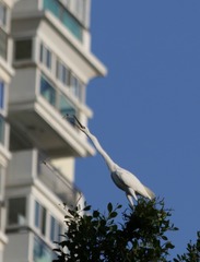 IMG_20160921_144625