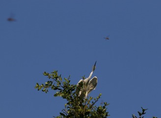IMG_20160922_084732