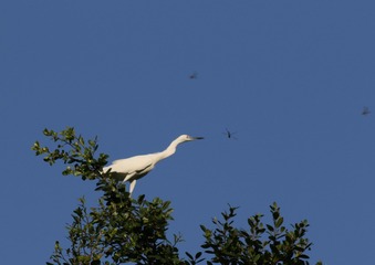 IMG_20160922_084539