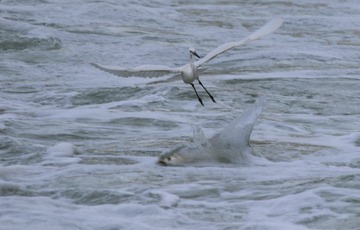 IMG_20160928_075039