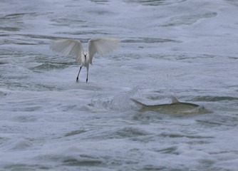 IMG_20160928_075257