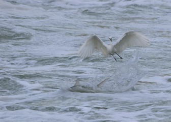 IMG_20160928_075105