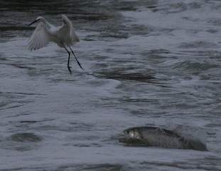 IMG_20160928_074633