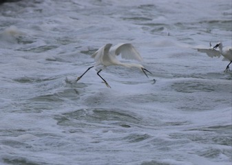 IMG_20160928_075233