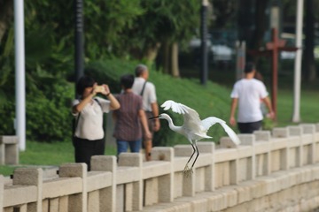 -60a3075af65bd328