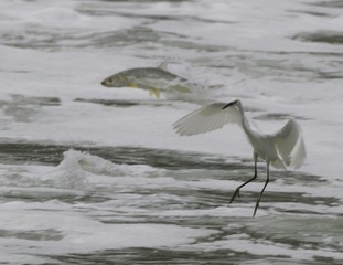 IMG_20161008_073730