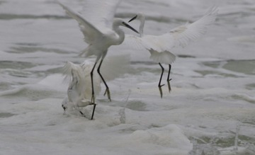 IMG_20161011_212831