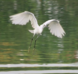 IMG_20161014_221903