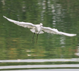 IMG_20161014_221838