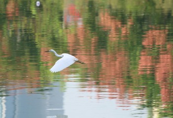 IMG_20161014_131323