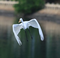 IMG_20161017_173442