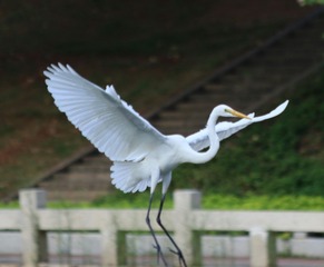 IMG_20161017_173349