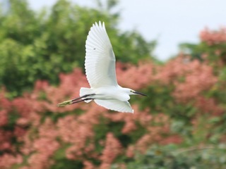 IMG_20161017_173527