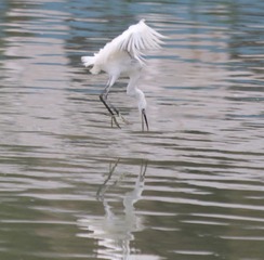 IMG_20161019_151210