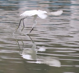 IMG_20161019_151231