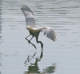 IMG_20161023_175901
