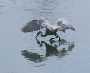 IMG_20161023_201305