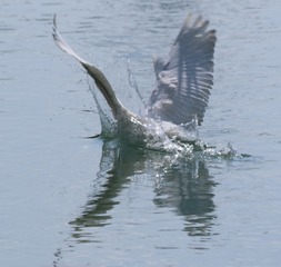 IMG_20161023_230043
