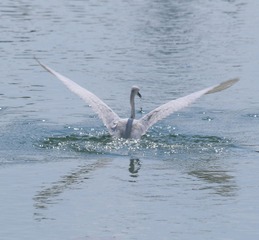 IMG_20161023_225106