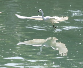 IMG_20161023_180217