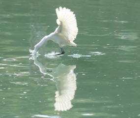 IMG_20161023_180325