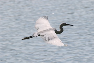 1B9A4748