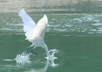 IMG_20161024_000920