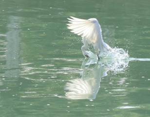 IMG_20161024_001207