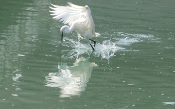 IMG_20161024_001102