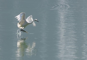 IMG_20161024_001019