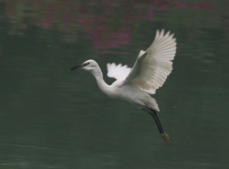 IMG_20161028_154609