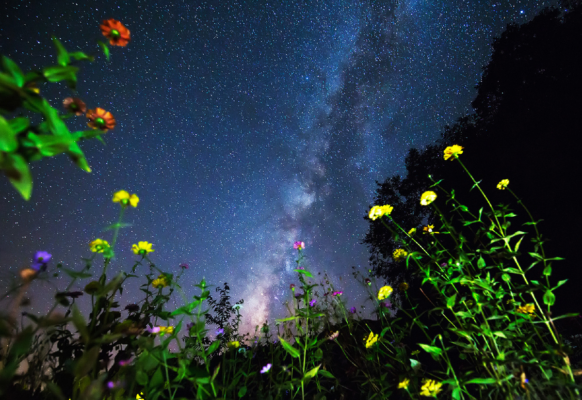 茶山星空