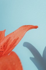 E60F246E-0D74-439B-A3D0-22476B1EFF8E/L0/001