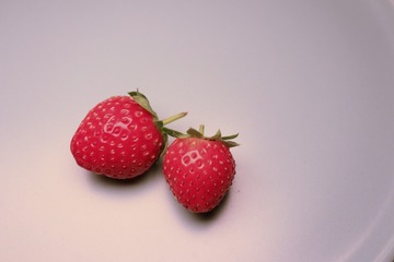 4F890F40-0F2A-453D-87FA-283CDF5C88E8/L0/001