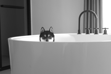 001