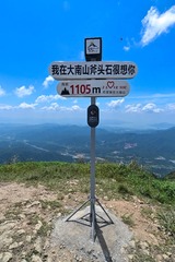 1000017226