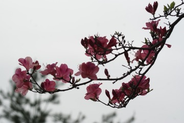 6E9B625A-B0A1-4C56-B7FE-F2CC3FD8E100/L0/001