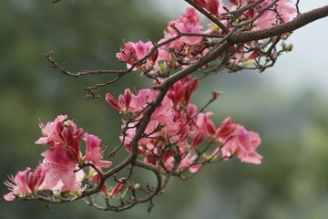 CA0FD053-EB1F-4946-BE5C-A5A09D1BE9CA/L0/001