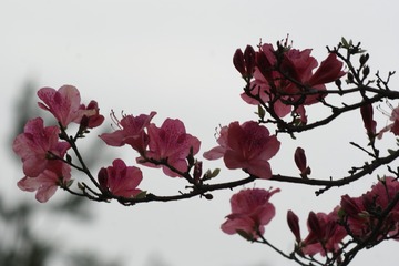 FF8FFDF1-C8E4-46CB-B311-5E9623F2E3CB/L0/001