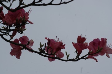 5B07516B-777E-400D-8F5D-41A4BA895BFB/L0/001