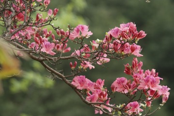 A87746ED-7171-47E9-817A-00B93C0E736C/L0/001