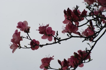 AE3A0AD7-30A2-411C-846B-FE269B1FC549/L0/001