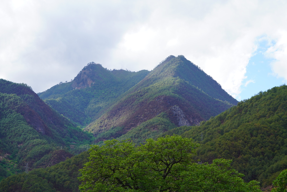 这个夏天在大山深处度过清泉碧波满眼绿夏吃这蜂蜜天天和昆虫玩耍是桂