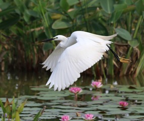 IMG_20160617_145443