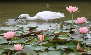 IMG_20160612_205336