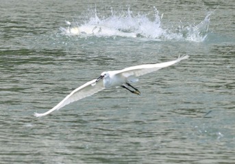 IMG_20160823_002647
