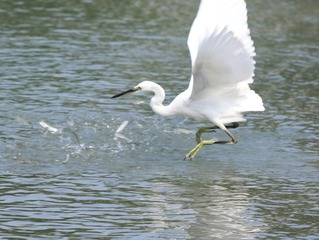 IMG_20160823_003237