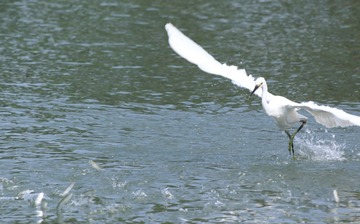 IMG_20160823_003337