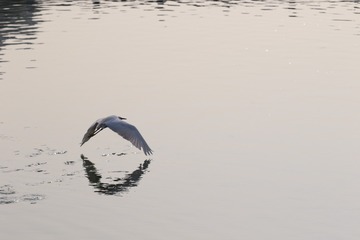 -7c2e9b5314e33086