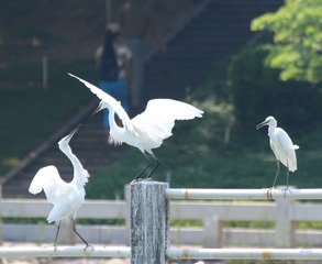 IMG_20160901_060813
